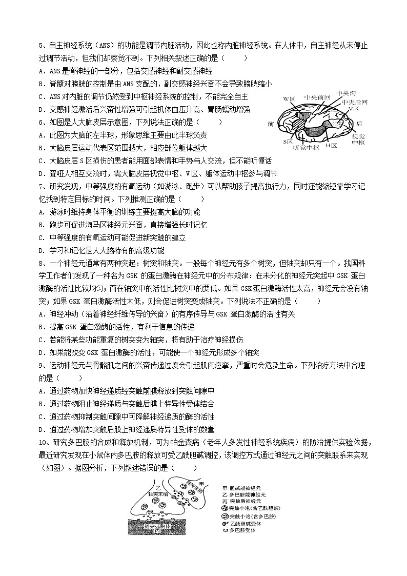 四川省南充市白塔中学2024-2025学年高二上学期期中检测生物试题第2页