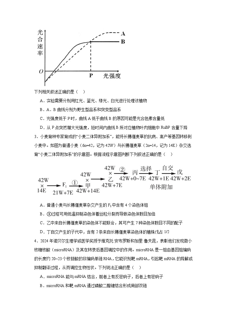 湖南省常德市汉寿县汉寿县第一中学2024-2025学年高二上学期11月期中生物试题第2页