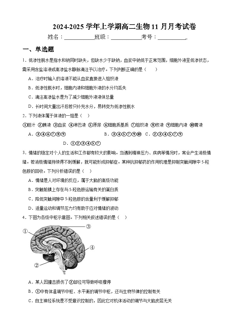 河南省新乡市原阳县第一高级中学2024-2025学年高二上学期11月月考生物试题第1页