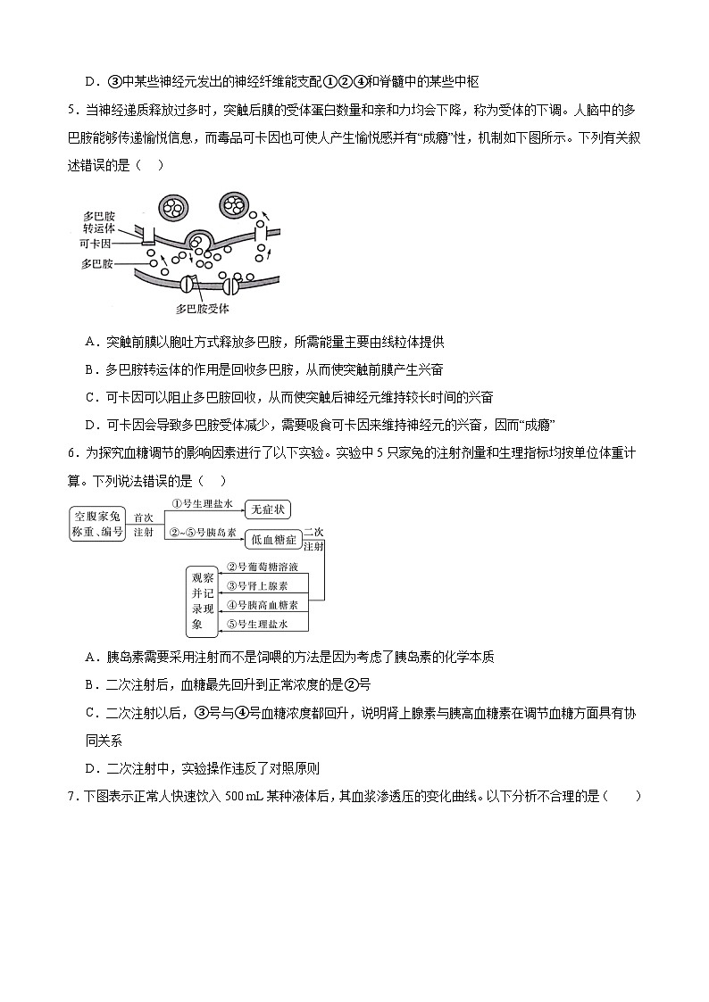 河南省新乡市原阳县第一高级中学2024-2025学年高二上学期11月月考生物试题第2页