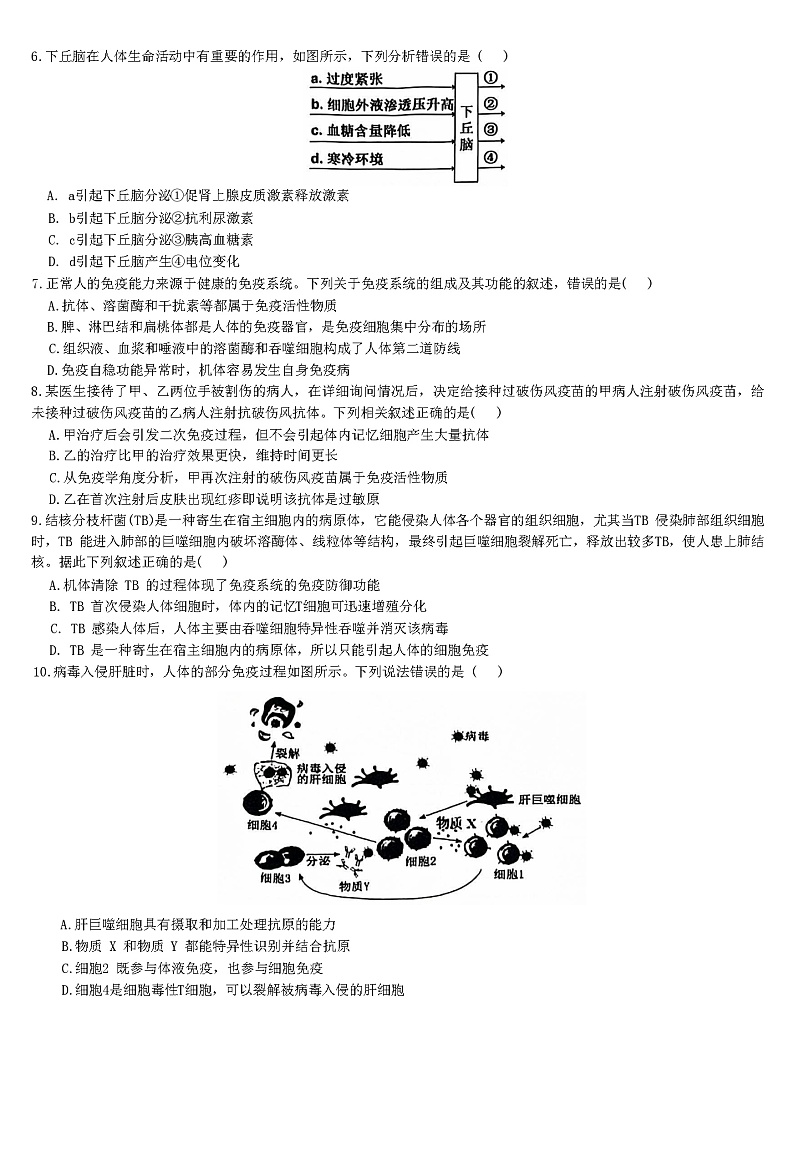 广西“贵百河武鸣高中”2024-2025学年高二上学期11月新高考月考生物试题第2页