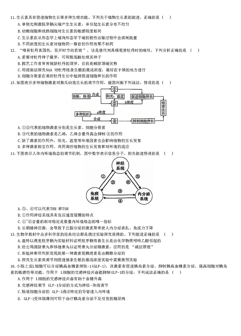 广西“贵百河武鸣高中”2024-2025学年高二上学期11月新高考月考生物试题第3页