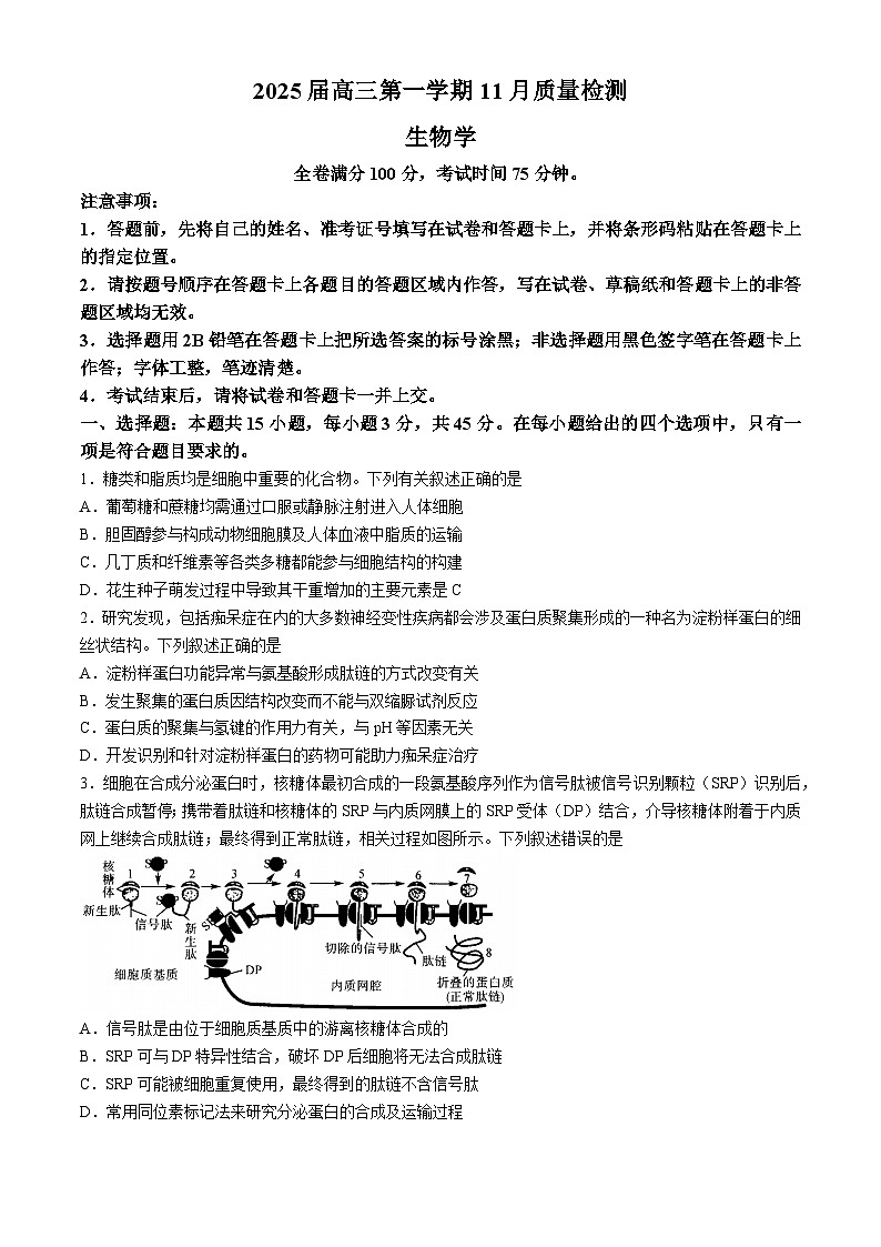 河南省部分重点中学2024-2025学年高三上学期11月质量检测生物试题（含解析）第1页
