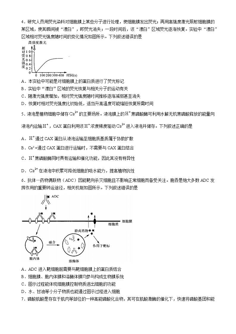 河南省部分重点中学2024-2025学年高三上学期11月质量检测生物试题（含解析）第2页