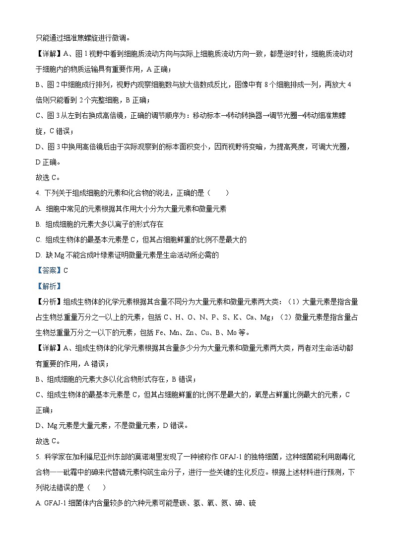 安徽省宿州市省、市示范高中2024-2025学年高一上学期11月期中生物试题  Word版含解析第3页