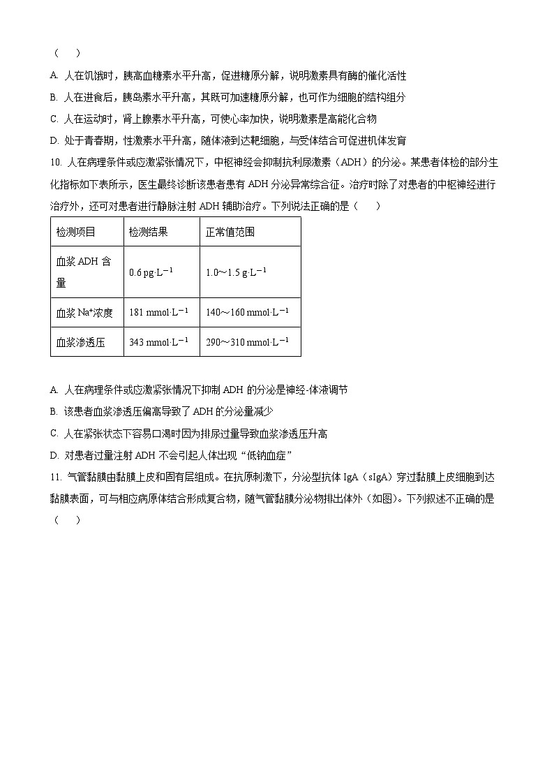 辽宁省沈阳市沈阳市郊联体2024-2025学年高二上学期11月期中生物试题  Word版无答案第3页