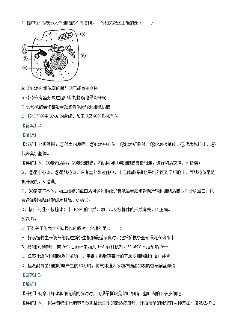 江苏省连云港市2024-2025学年高三上学期期中考试生物试题含解析第2页