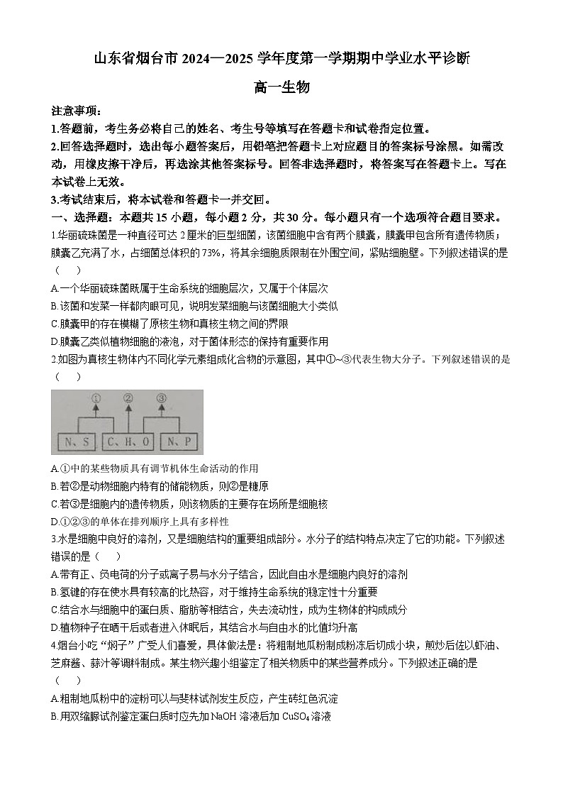2025烟台高一上学期11月期中考试生物含答案第1页