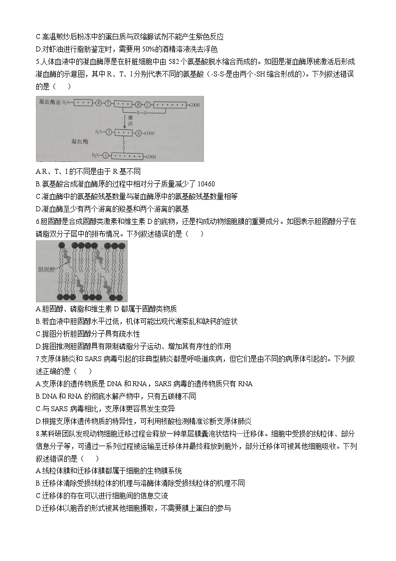 2025烟台高一上学期11月期中考试生物含答案第2页