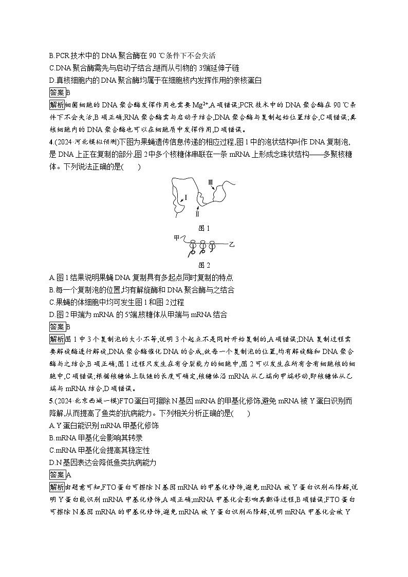 备战2025年高考二轮复习生物（广东专版）知识对点小题练7遗传的分子基础（Word版附解析）第2页