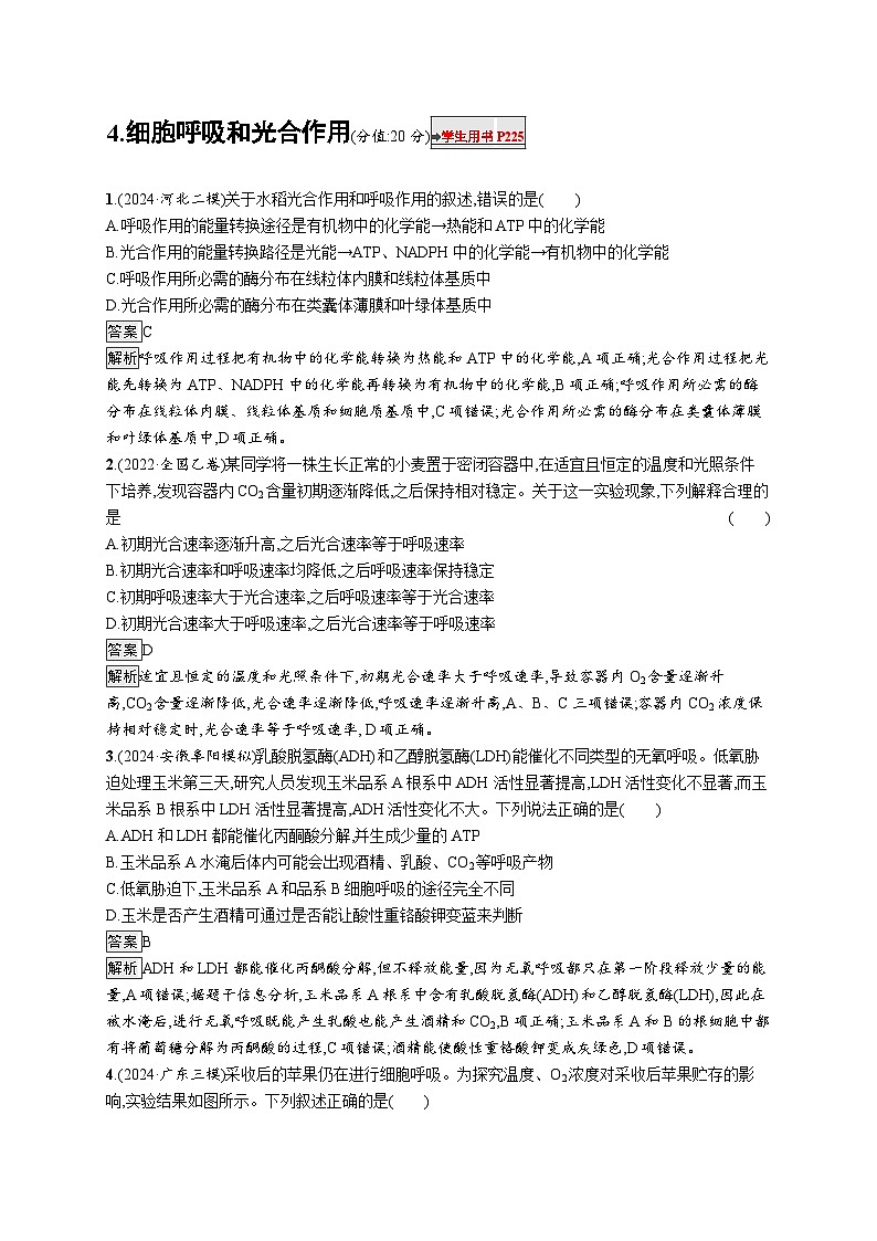 备战2025年高考二轮复习生物（广东专版）知识对点小题练4细胞呼吸和光合作用（Word版附解析）第1页