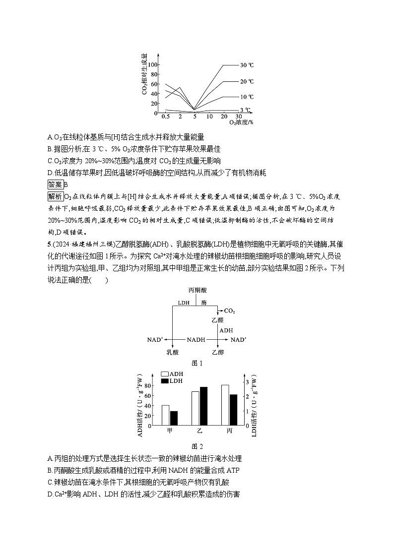 备战2025年高考二轮复习生物（广东专版）知识对点小题练4细胞呼吸和光合作用（Word版附解析）第2页