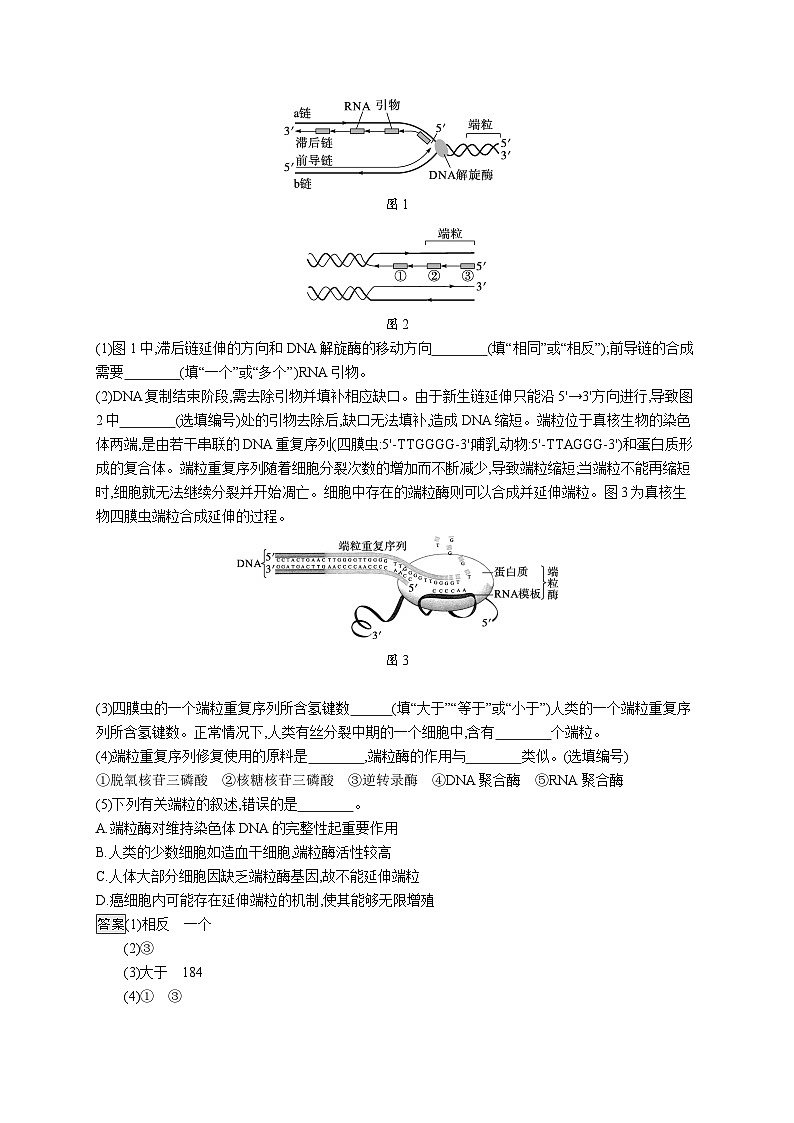 备战2025年高考二轮复习生物（广东专版）大单元5 遗传的分子基础、变异与进化 层级二关键突破提升练（Word版附解析）第3页