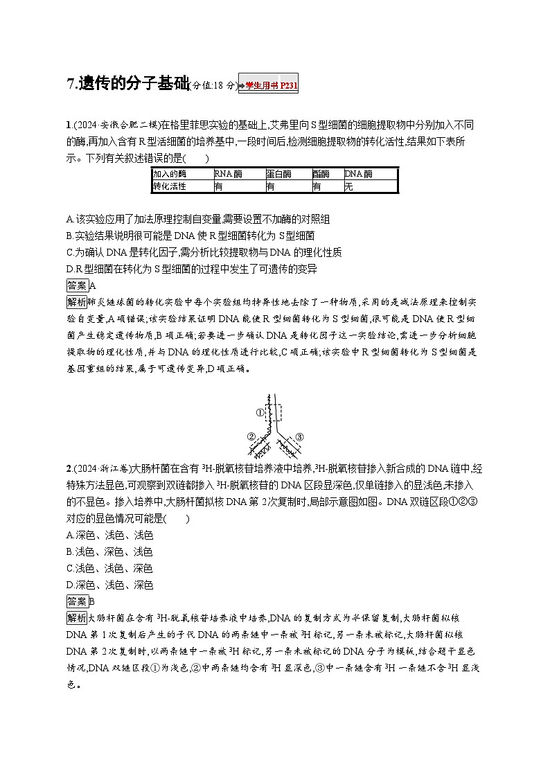 备战2025年高考二轮复习生物（湖南版）知识对点小题练7遗传的分子基础（Word版附解析）第1页