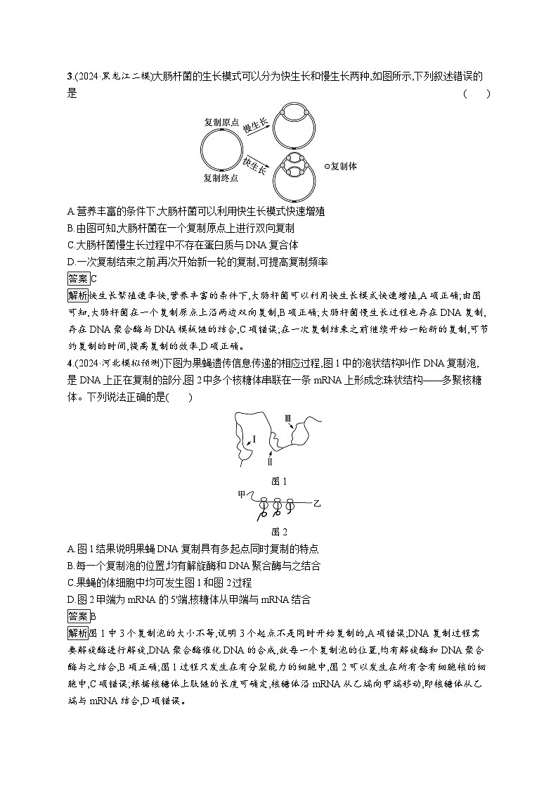 备战2025年高考二轮复习生物（湖南版）知识对点小题练7遗传的分子基础（Word版附解析）第2页