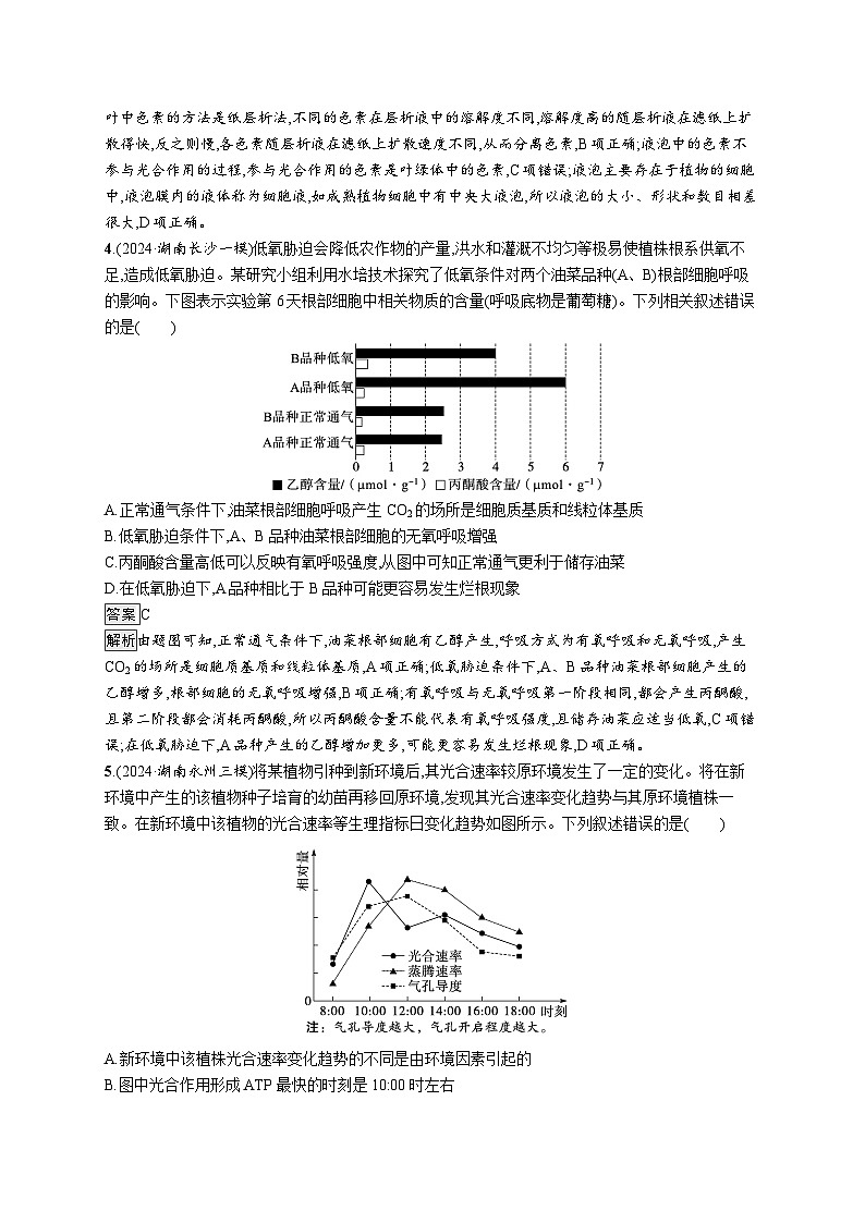 备战2025年高考二轮复习生物（湖南版）知识对点小题练4细胞呼吸和光合作用（Word版附解析）第2页