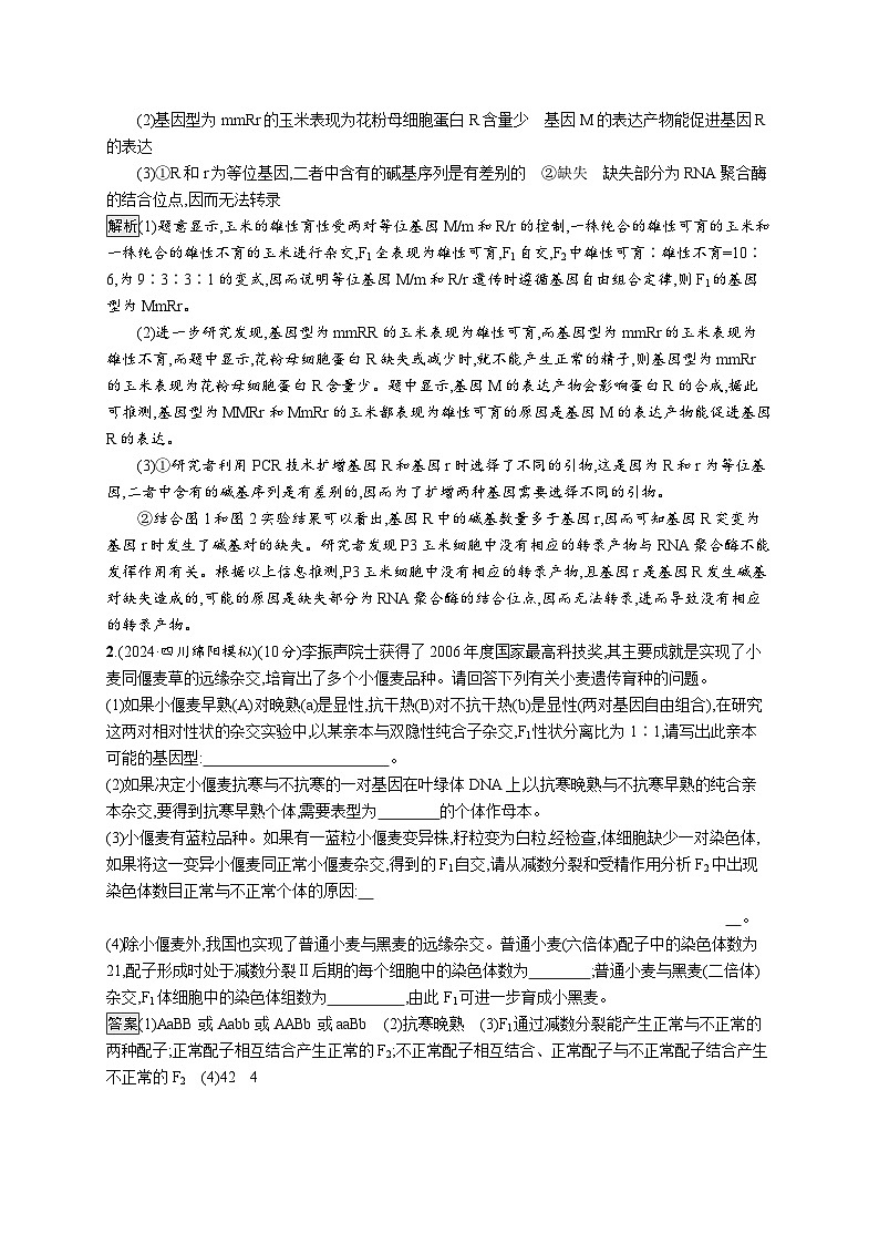 备战2025年高考二轮复习生物（湖南版）大题分析与表达练3变异与育种练习（Word版附解析）第2页