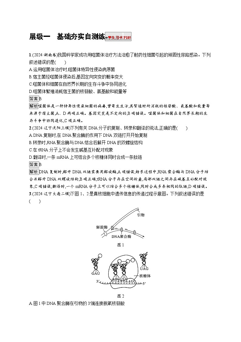 备战2025年高考二轮复习生物（湖南版）大单元5 遗传的分子基础、变异与进化练习（Word版附解析）第1页