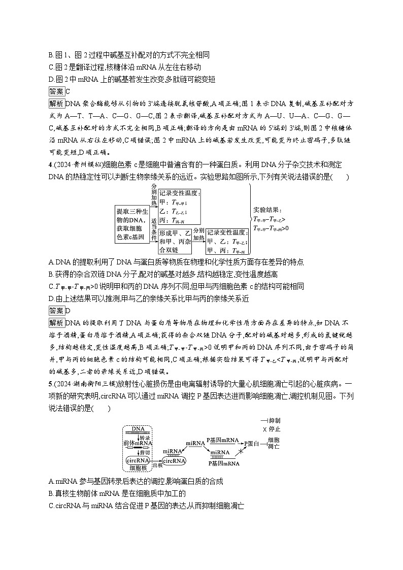 备战2025年高考二轮复习生物（湖南版）大单元5 遗传的分子基础、变异与进化练习（Word版附解析）第2页