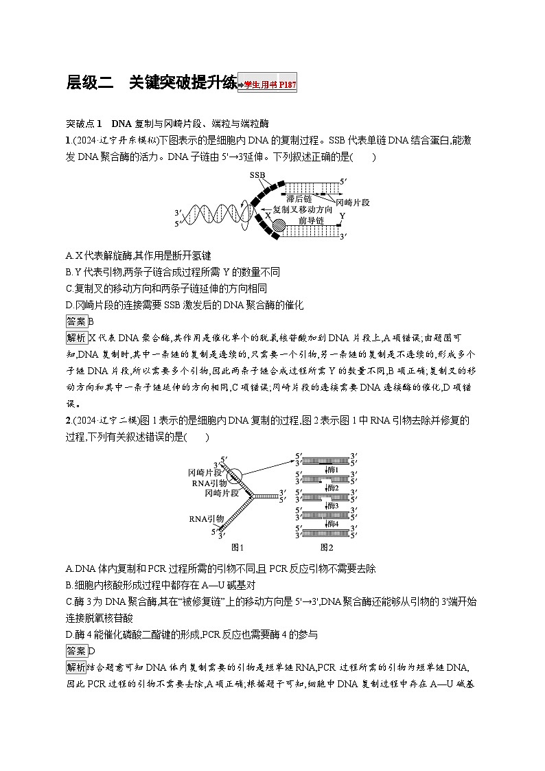 备战2025年高考二轮复习生物（湖南版）大单元5 遗传的分子基础、变异与进化 层级二关键突破提升练（Word版附解析）第1页
