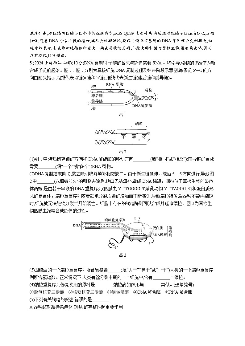 备战2025年高考二轮复习生物（湖南版）大单元5 遗传的分子基础、变异与进化 层级二关键突破提升练（Word版附解析）第3页