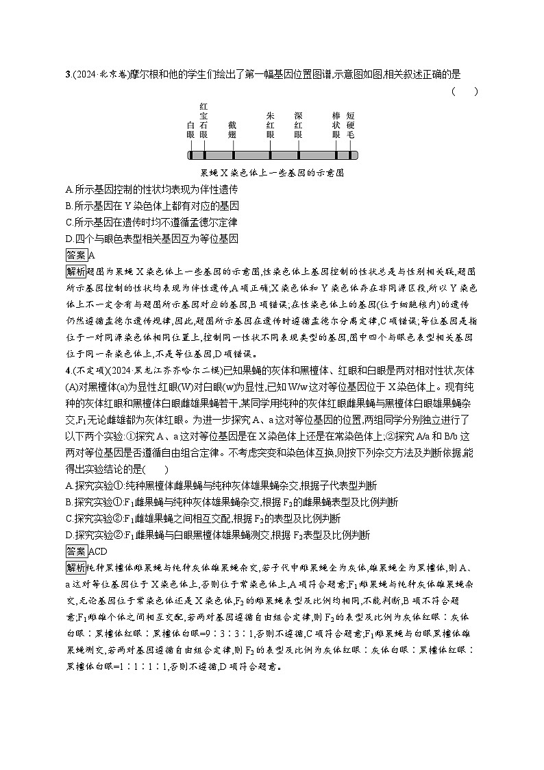 备战2025年高考二轮复习生物（湖南版）大单元4 遗传信息控制生物性状的遗传规律练习（Word版附解析）第2页