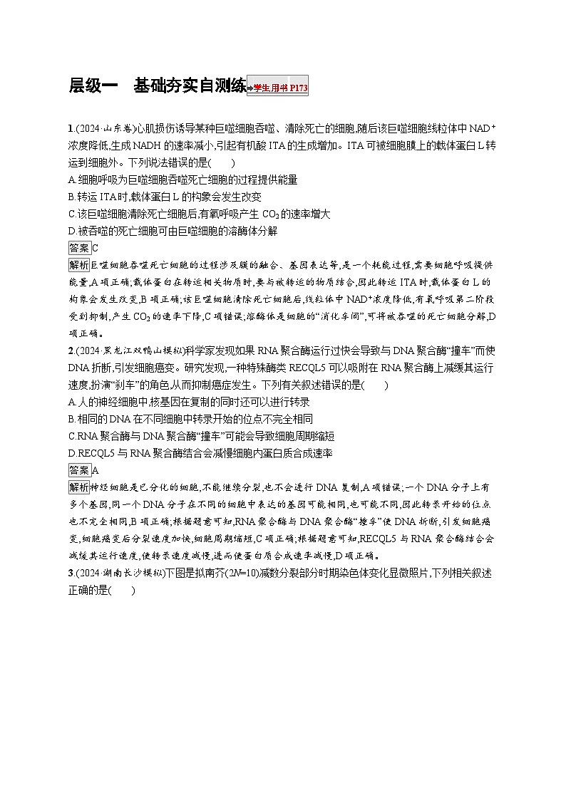 备战2025年高考二轮复习生物（湖南版）大单元3 细胞的增殖、分化、衰老和死亡等生命历程 层级一基础夯实自测练（Word版附解析）第1页