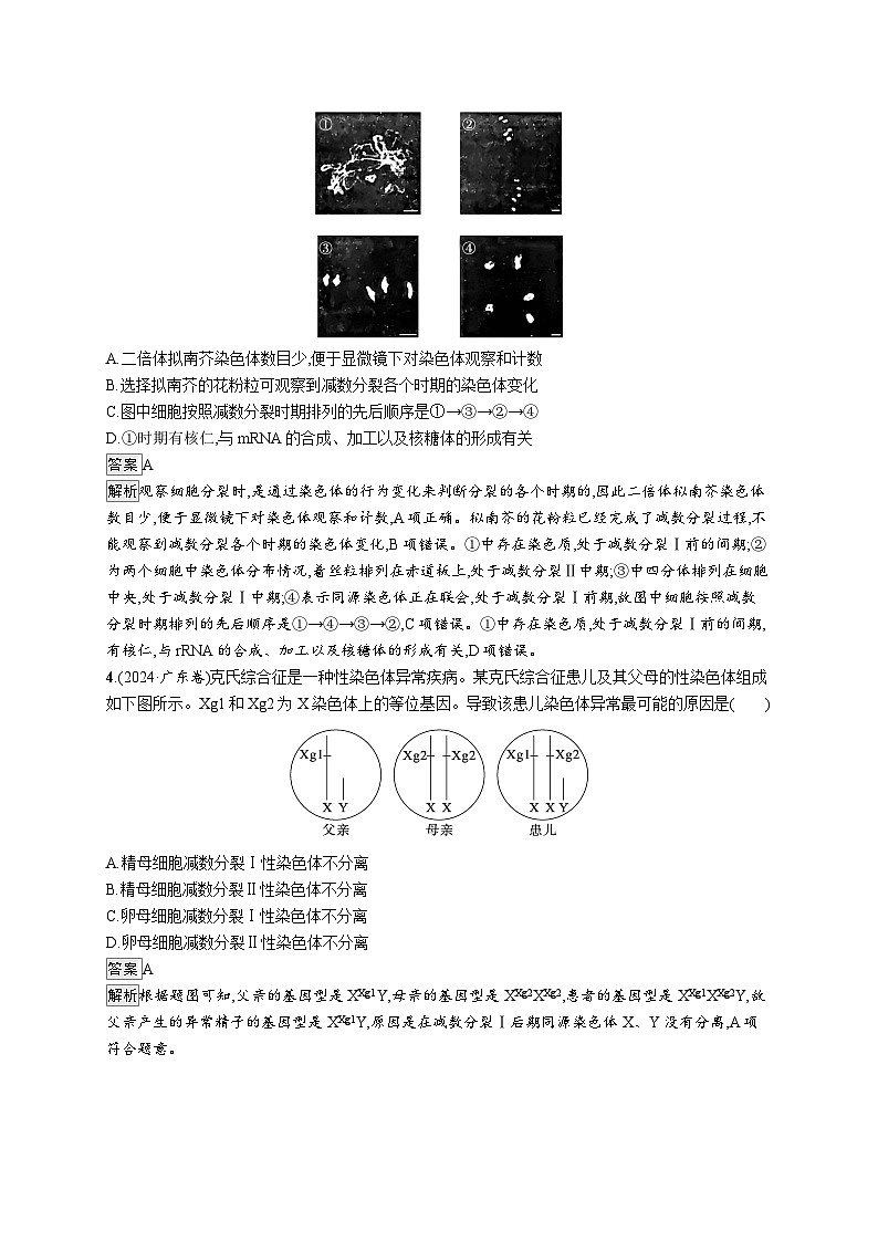 备战2025年高考二轮复习生物（湖南版）大单元3 细胞的增殖、分化、衰老和死亡等生命历程 层级一基础夯实自测练（Word版附解析）第2页