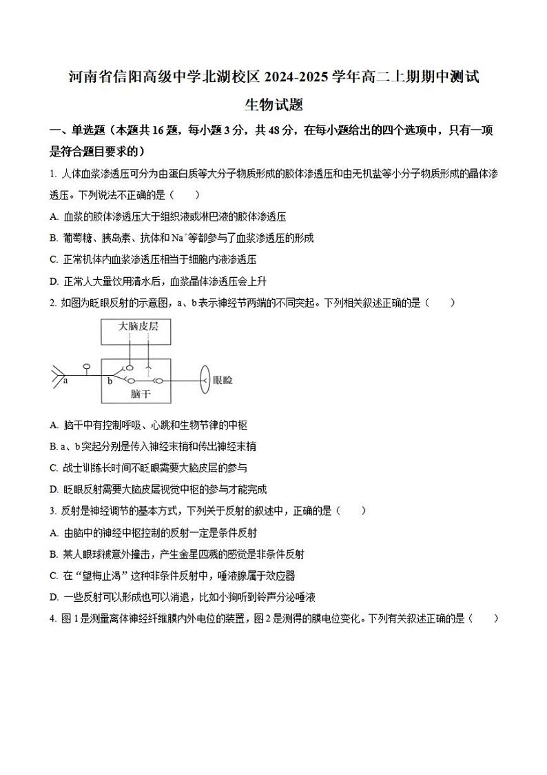 河南省信阳高级中学北湖校区2024-2025学年高二上学期期中考试 生物 Word版含解析第1页