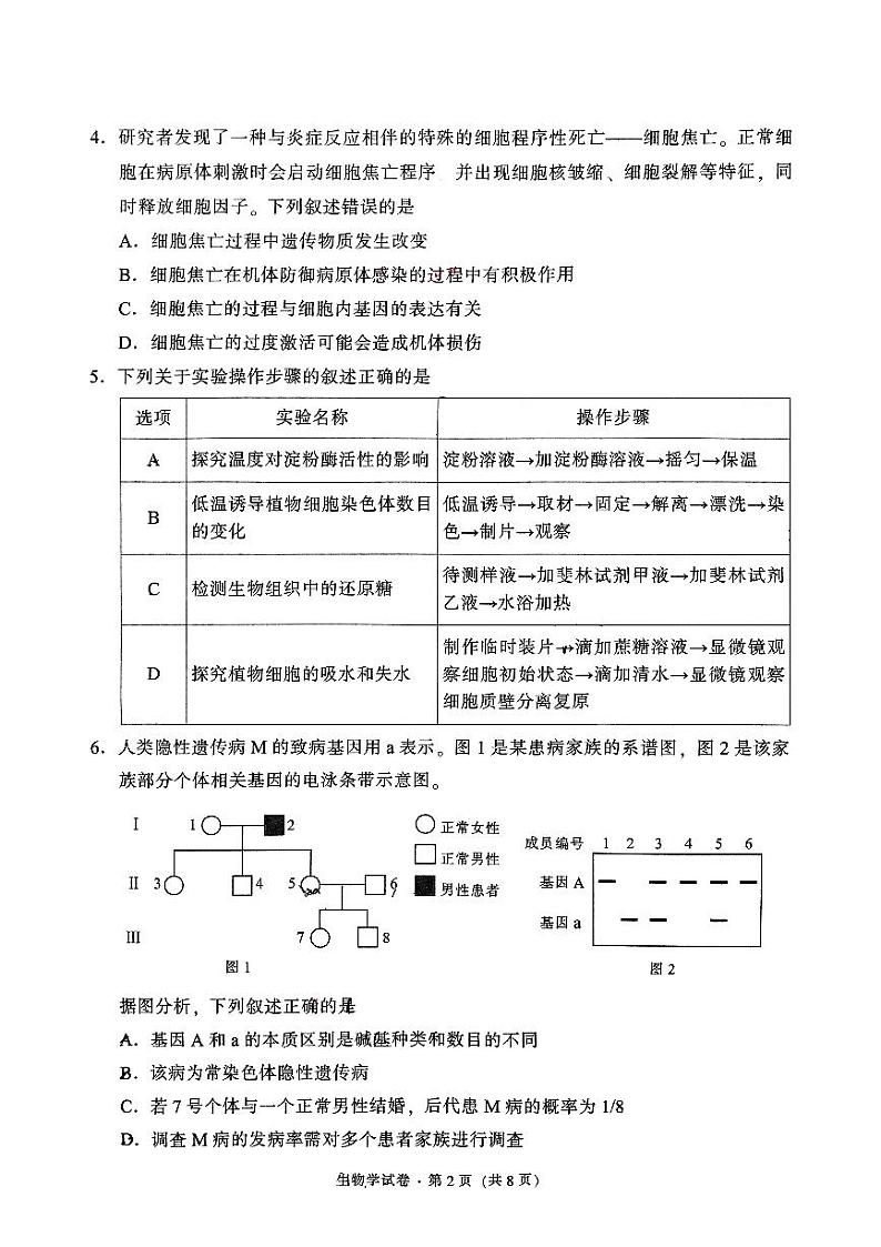 云南省昆明市五华区2024-2025学年高三上学期期中考试生物试题第2页