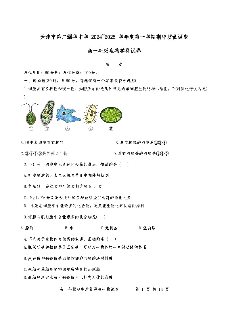 天津市第二耀华中学2024-2025学年高一上学期期中考试生物试题第1页