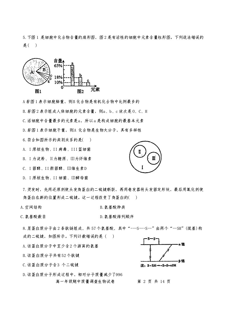 天津市第二耀华中学2024-2025学年高一上学期期中考试生物试题第2页