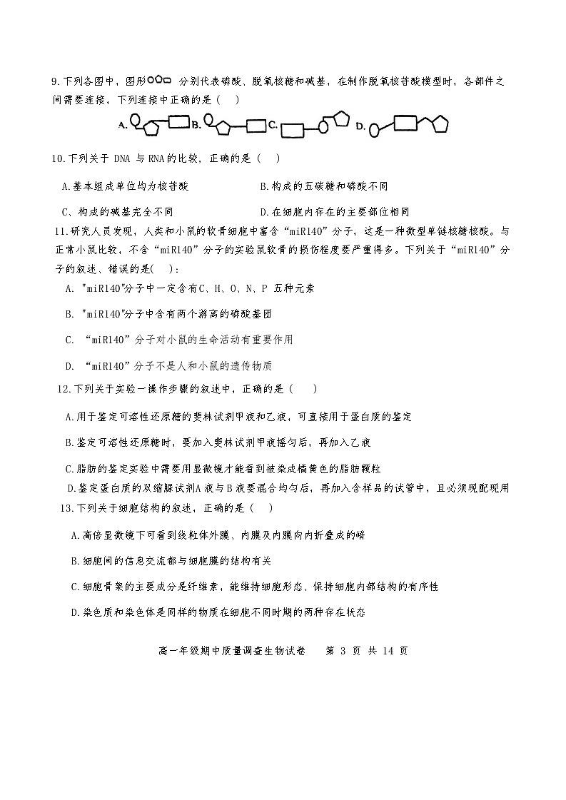 天津市第二耀华中学2024-2025学年高一上学期期中考试生物试题第3页