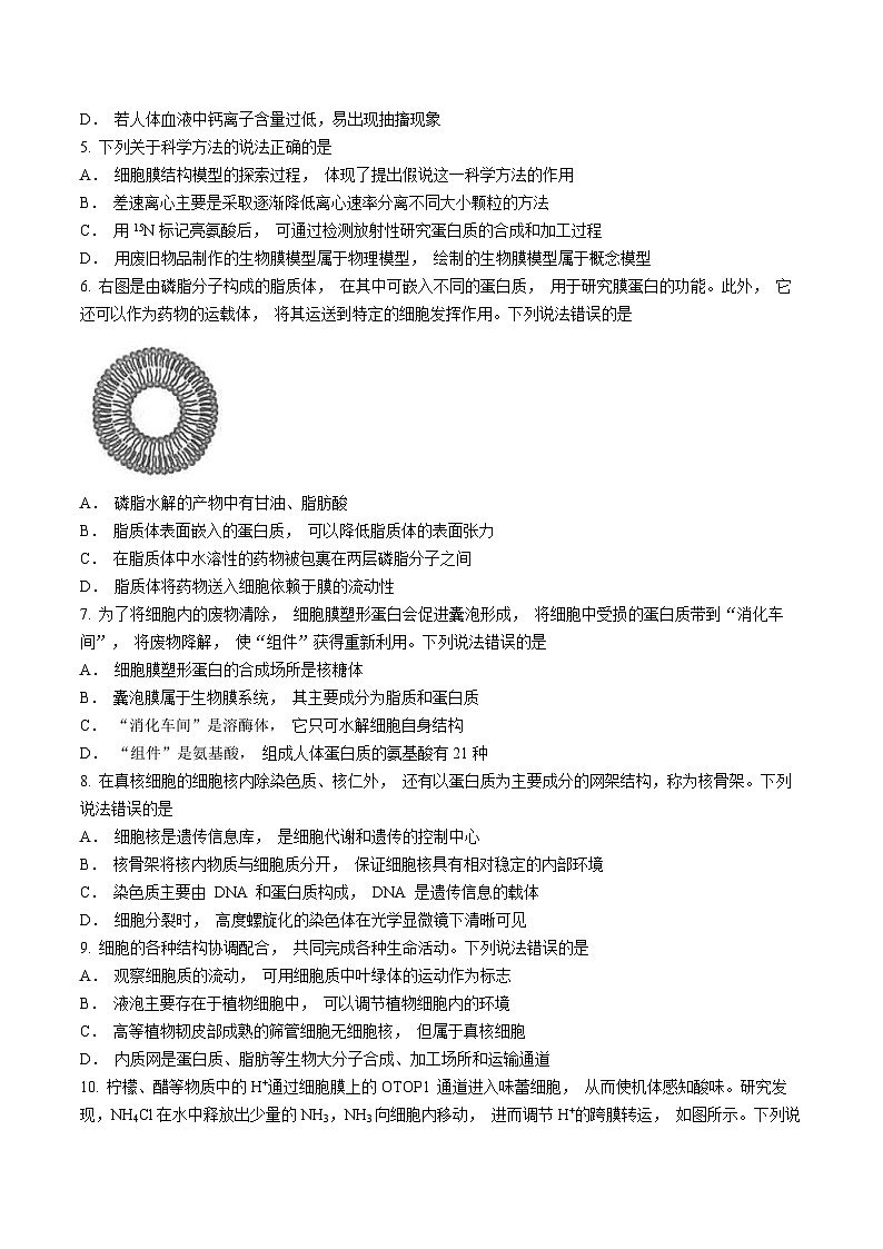 山东省昌邑市2024-2025学年高一上学期期中考试生物试题第2页