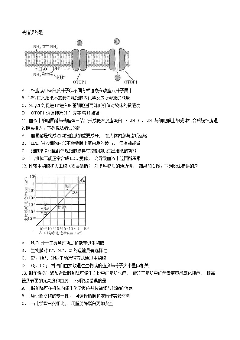 山东省昌邑市2024-2025学年高一上学期期中考试生物试题第3页