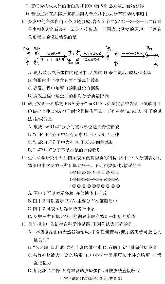 湖南省长沙市天心区长沙市长郡中学2024-2025学年高一上学期11月期中考试生物试题第3页