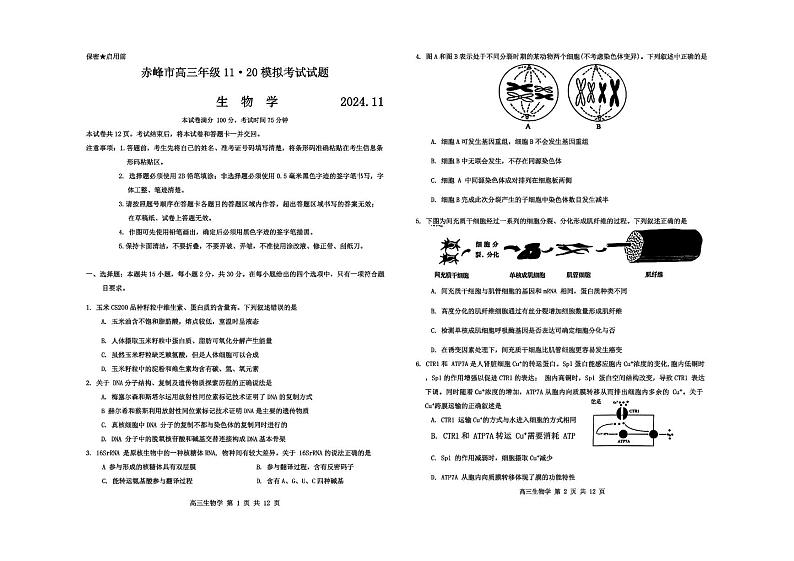 内蒙古赤峰市2025届高三上学期11月考-生物试卷+答案第1页
