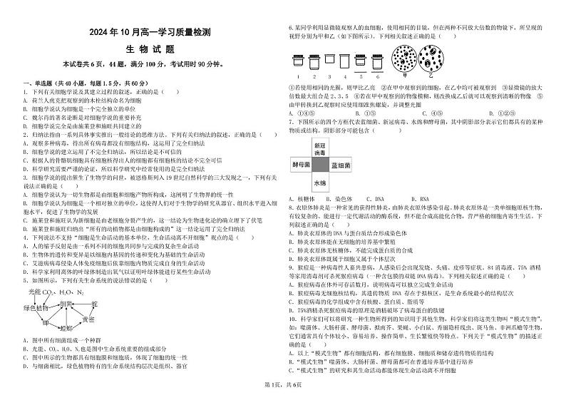 济南市历城第二中学2024-2025学年高一上学期10月学习质量检测生物试卷第1页