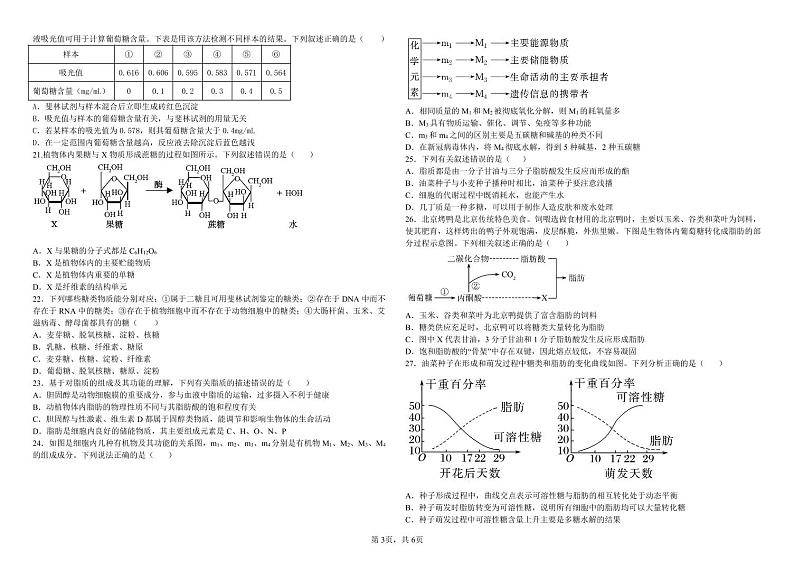 济南市历城第二中学2024-2025学年高一上学期10月学习质量检测生物试卷第3页