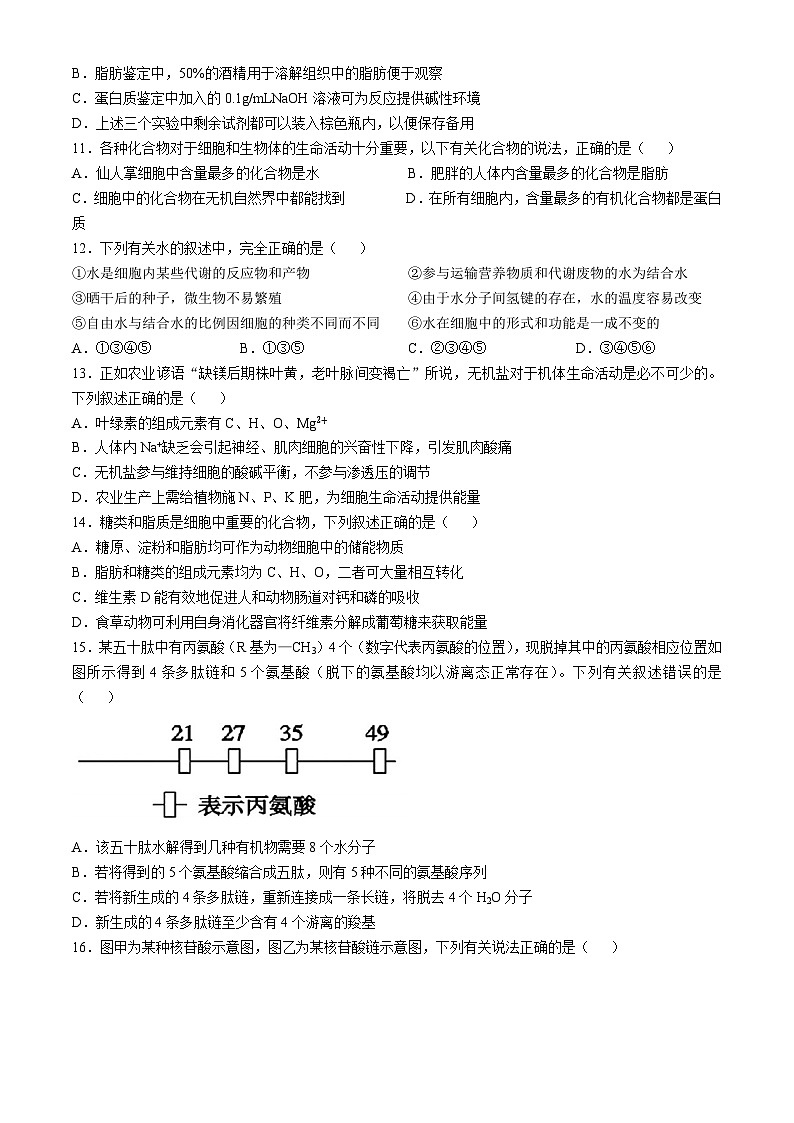 湖南省耒阳市第一中学2024-2025学年高一上学期期中考试生物试题(无答案)第3页