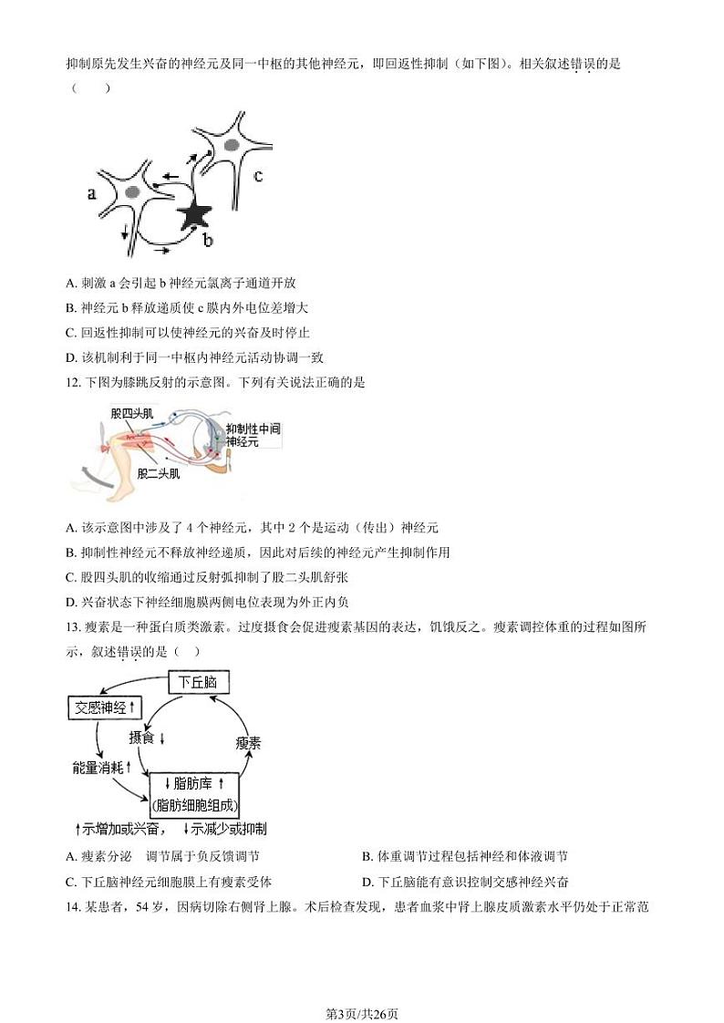2023北京五十五中高二（上）期中生物试卷（教师版）第3页