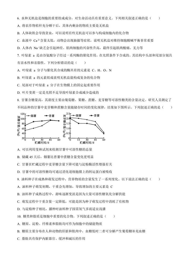 山东省泰安市新泰市第一中学2024～2025学年高一(上)期中补偿练生物(含解析)第2页