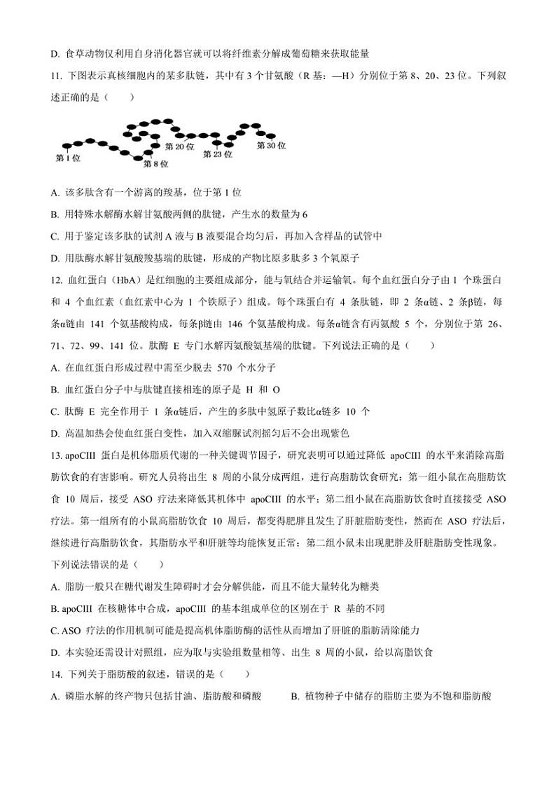 山东省泰安市新泰市第一中学2024～2025学年高一(上)期中补偿练生物(含解析)第3页