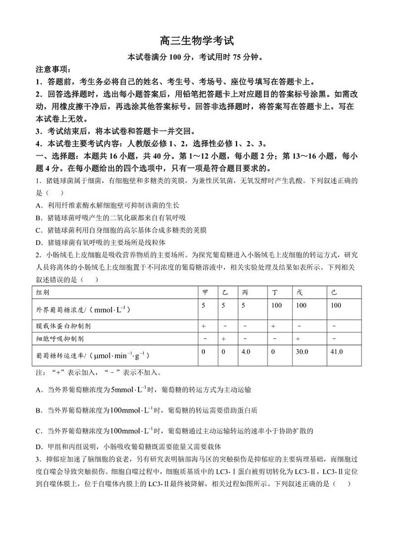 广西部分学校联考2024～2025学年高三(上)11月月考生物试卷(含解析)第1页