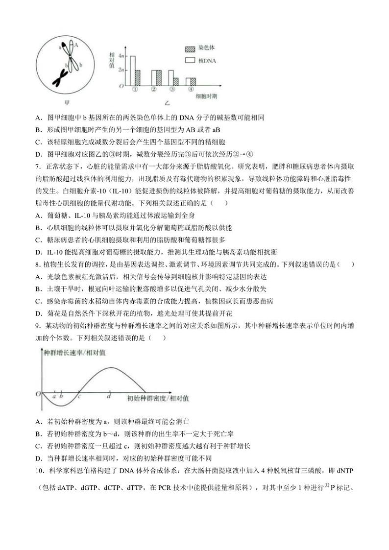 广西部分学校联考2024～2025学年高三(上)11月月考生物试卷(含解析)第3页