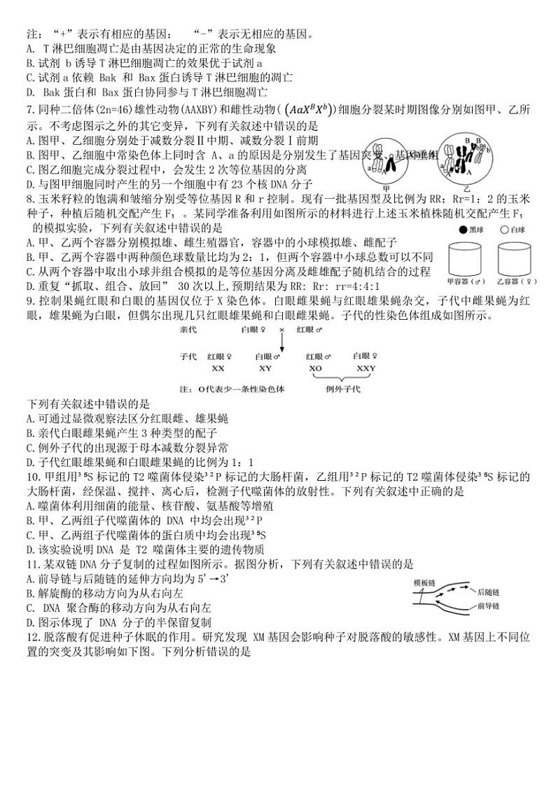 湖南省三湘名校教育联盟2024～2025学年高三(上)11月月考生物试卷(含解析)第2页