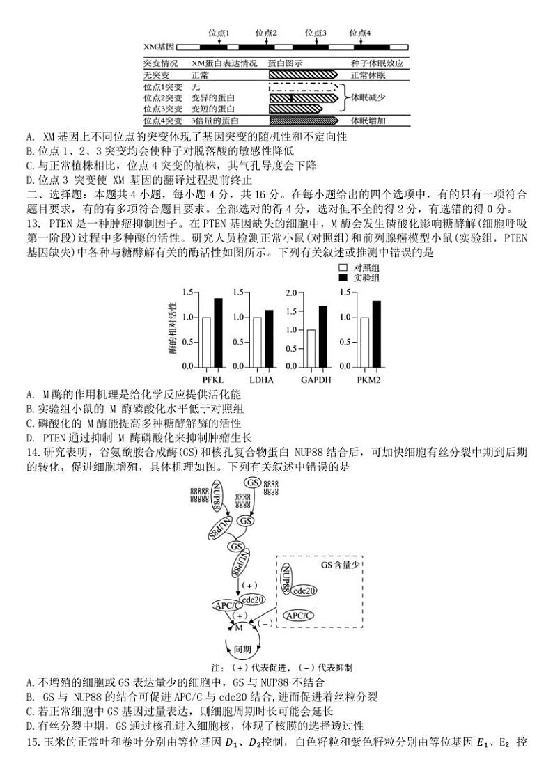湖南省三湘名校教育联盟2024～2025学年高三(上)11月月考生物试卷(含解析)第3页