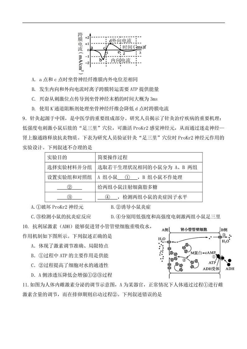 福建省泉州市四校2024～2025学年高二(上)期中联考生物试卷(含答案)第3页