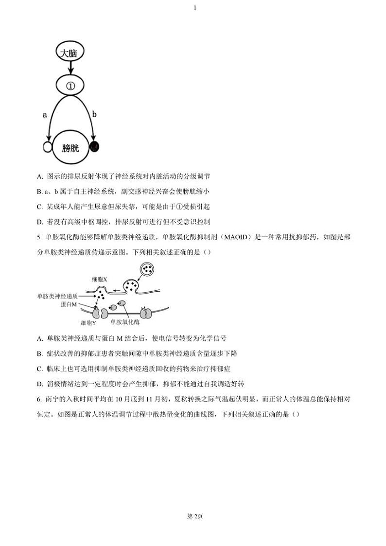 广西壮族自治区示范性高中2024～2025学年高二(上)期中生物试卷(含答案)第2页