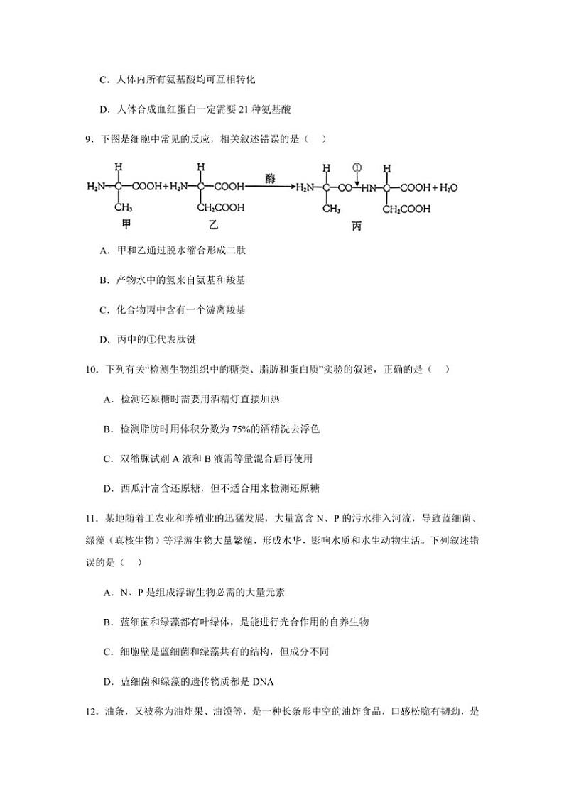 湖北省黄冈市黄梅县育才高级中学2024～2025学年高一(上)期中生物试卷(含答案)第3页